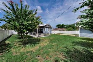 Backyard 5