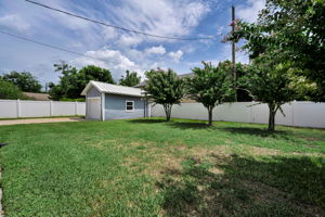 Backyard 6