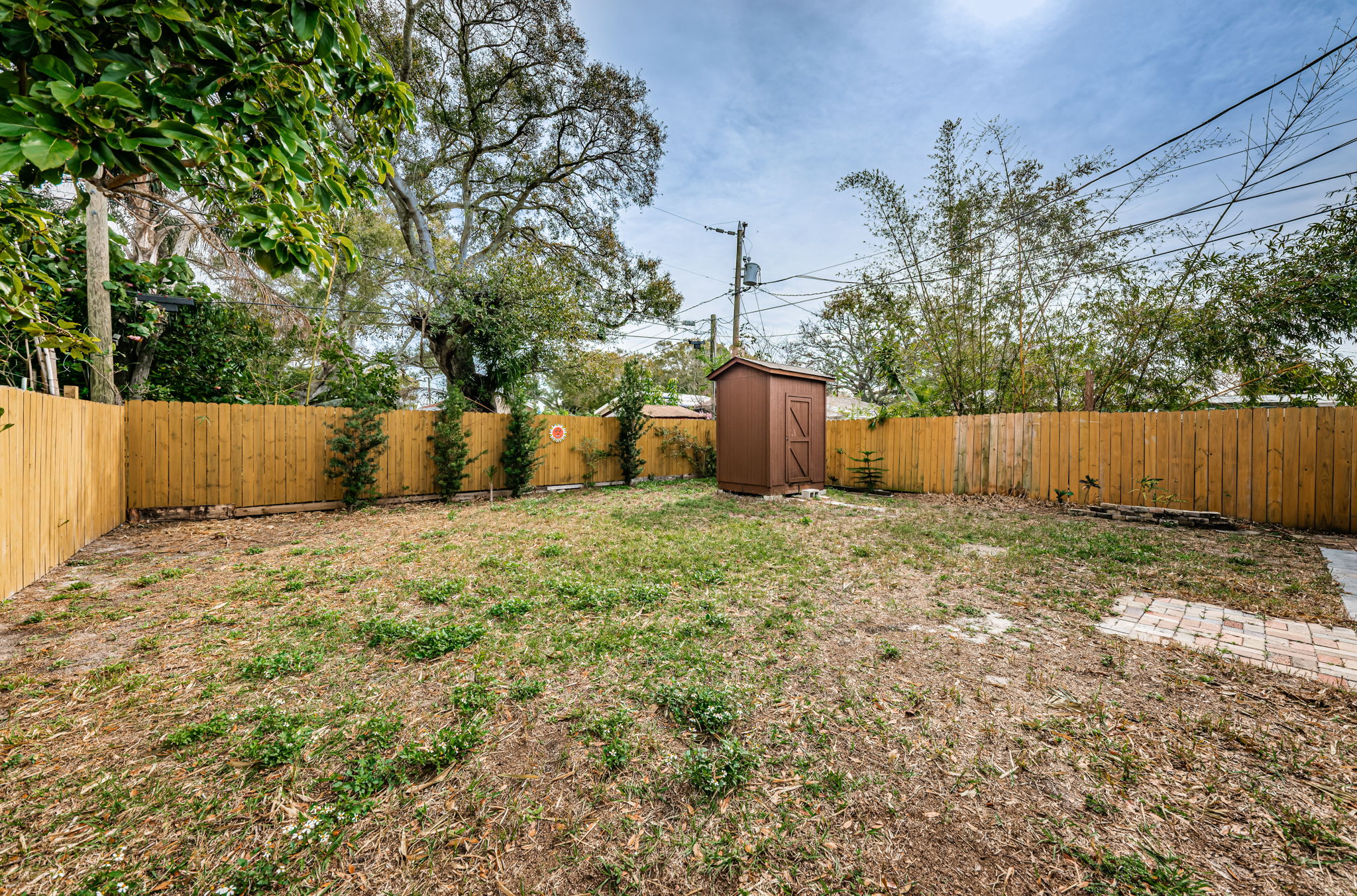 Backyard2-2