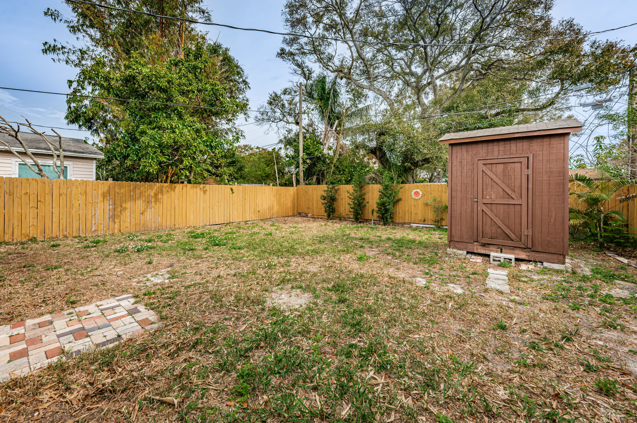Backyard1-2