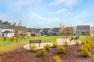 3421 Thicket Run Pl, Charlottesville, VA 22911, USA Photo 14