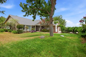  Photo 0