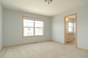  3425 Hazel Trail #A,, Woodbury MN, MN 55129, US Photo 33