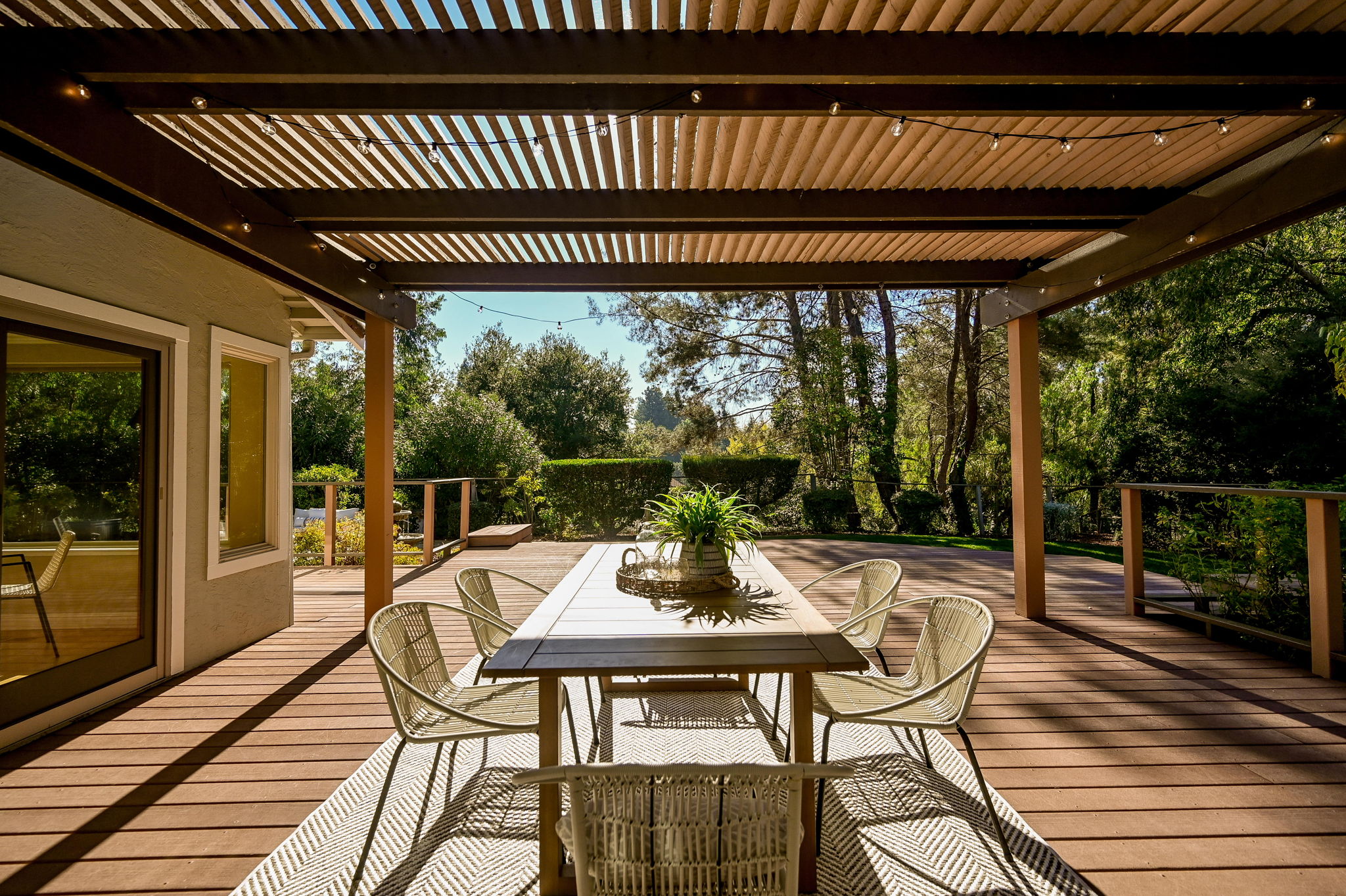 provides shade and ambiance