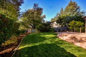 Grassy area to play and relax