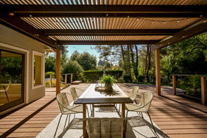 provides shade and ambiance