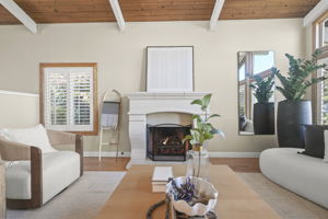 Gas burning fireplace