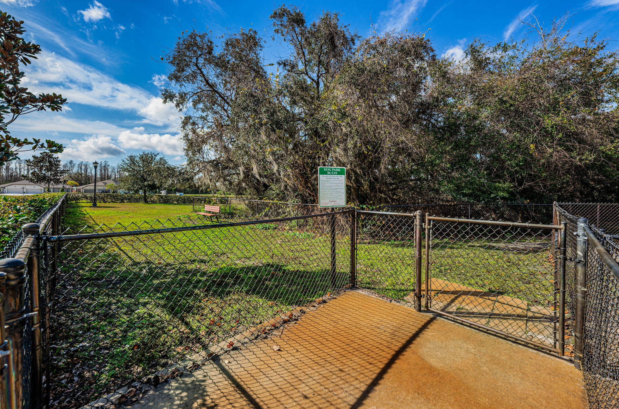 56-Dog Park
