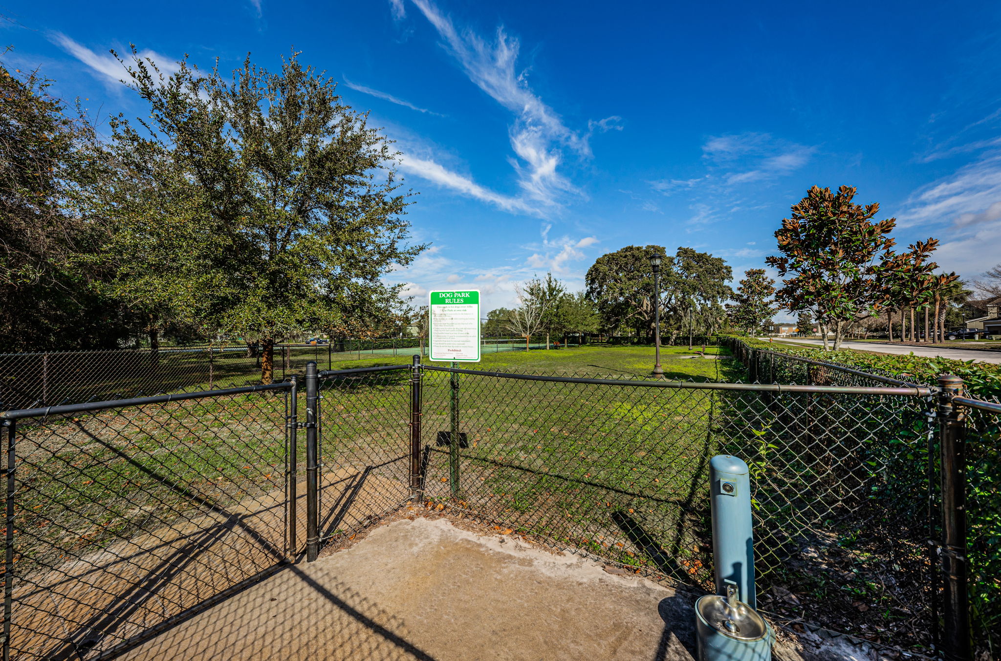 58-Dog Park