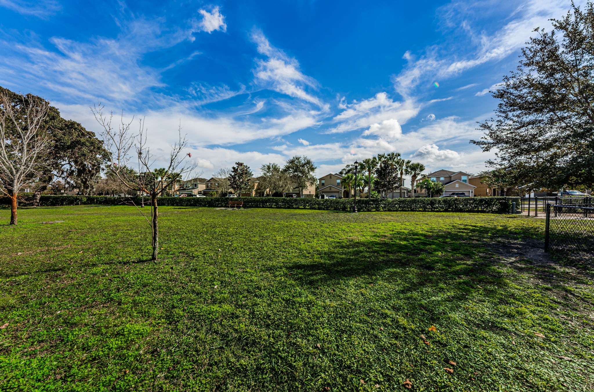 60-Dog Park