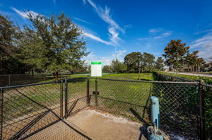 58-Dog Park
