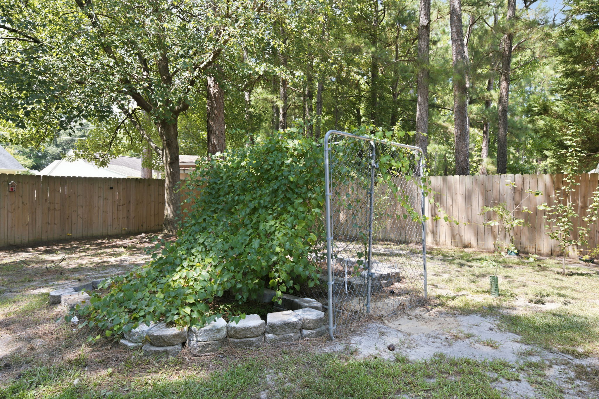  Photo 44