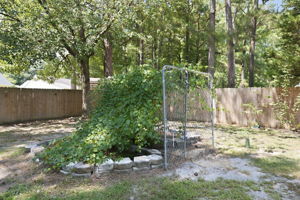  Photo 43