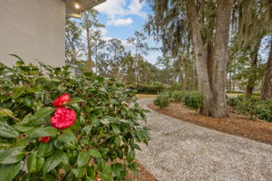 Front Driveway