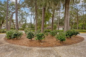 Circle Driveway