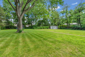  Photo 47