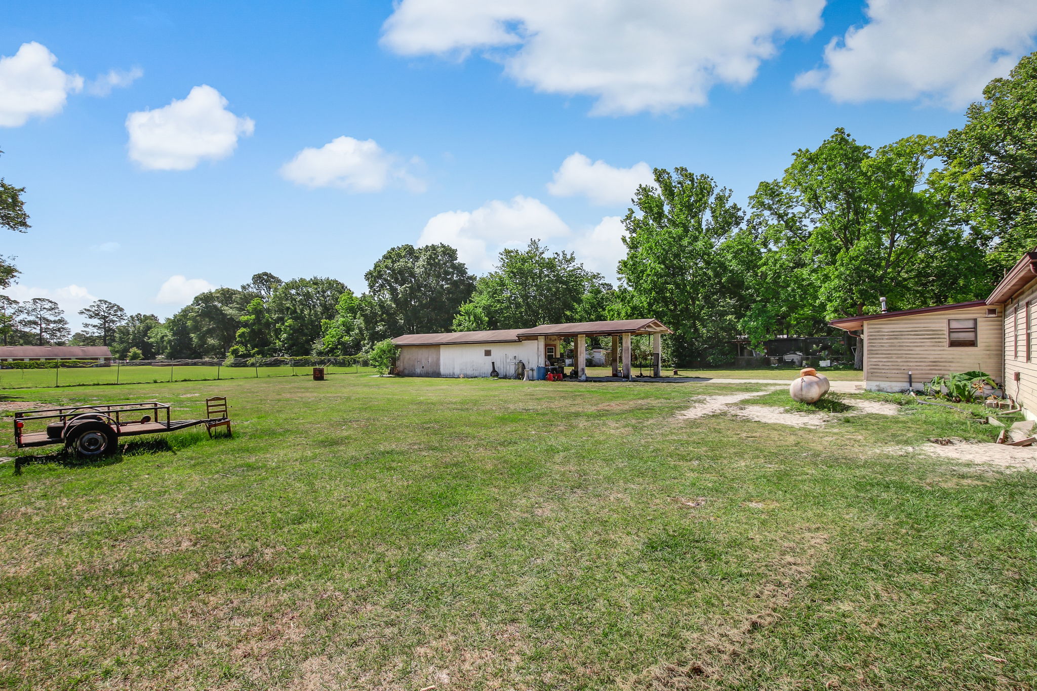 Backyard