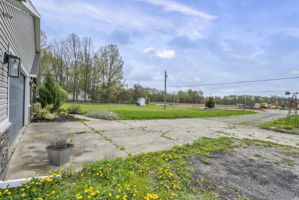  Photo 46