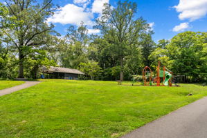  Photo 113