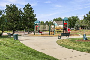  Photo 49