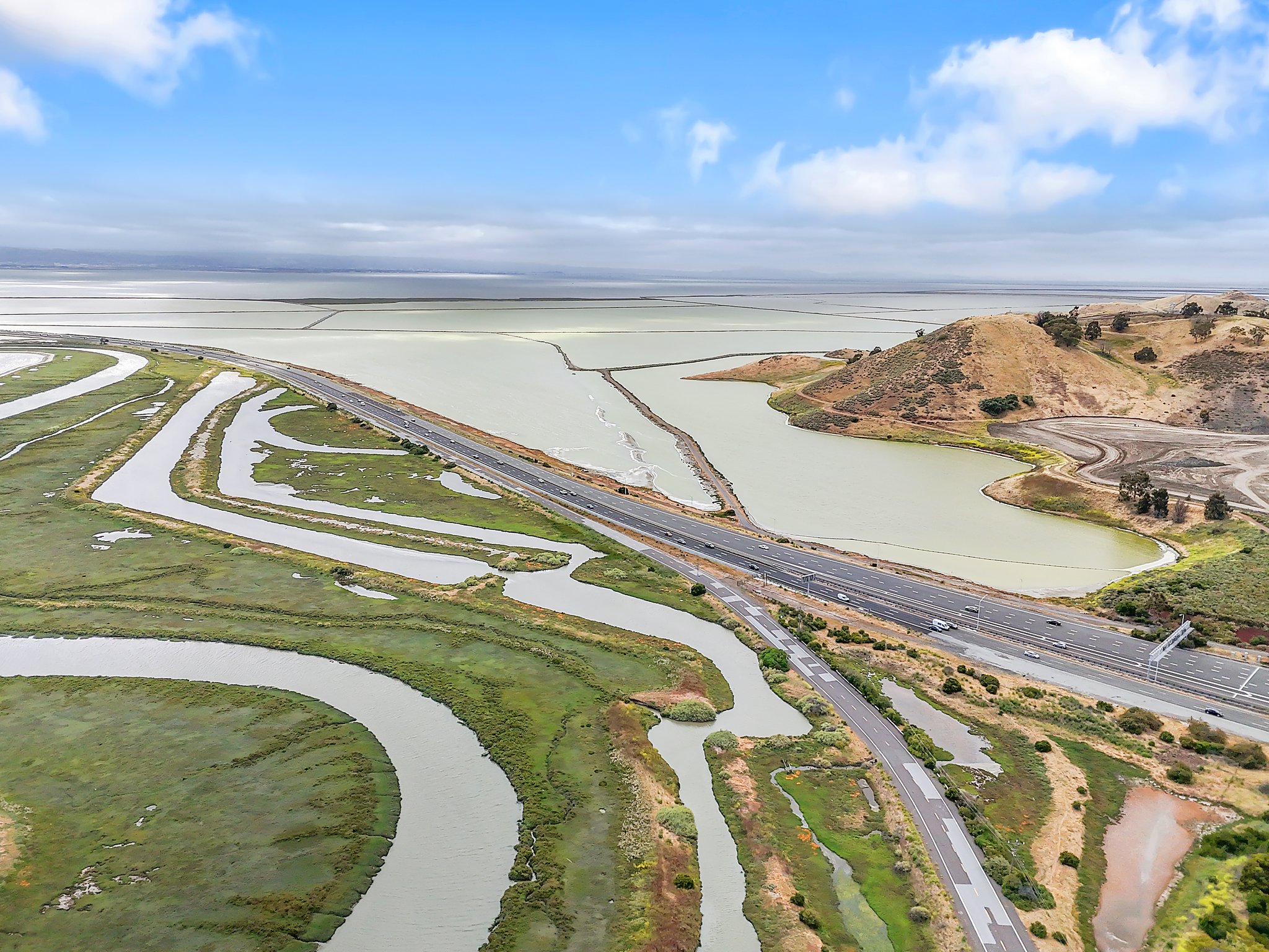 Dumbarton Bridge