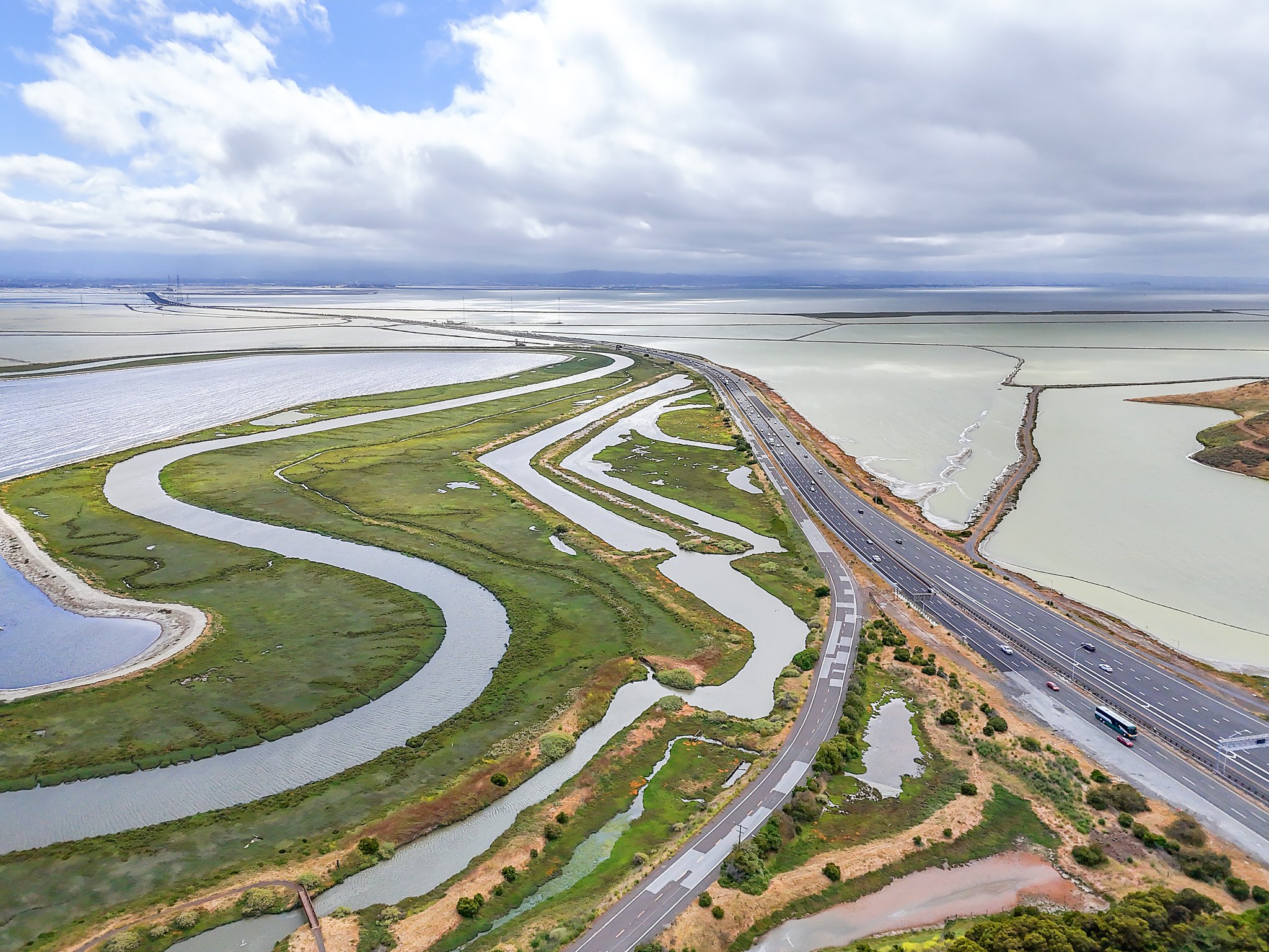 Dumbarton Bridge