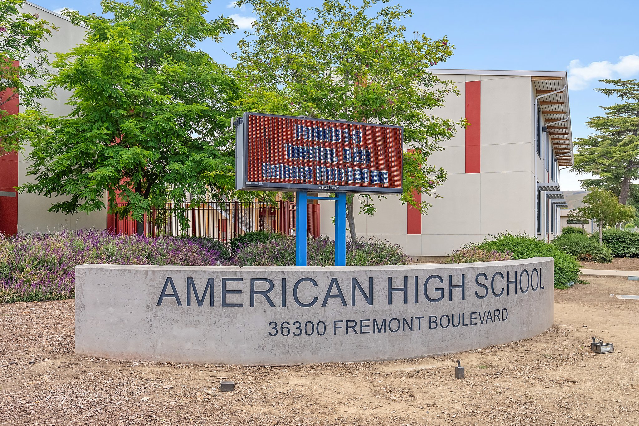 American High School