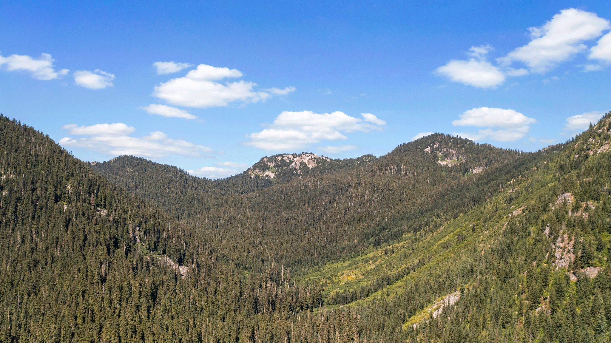 34340 S Nason Rd, Leavenworth, WA 98826, USA Photo 47