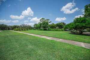 Park5