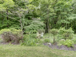  Photo 48