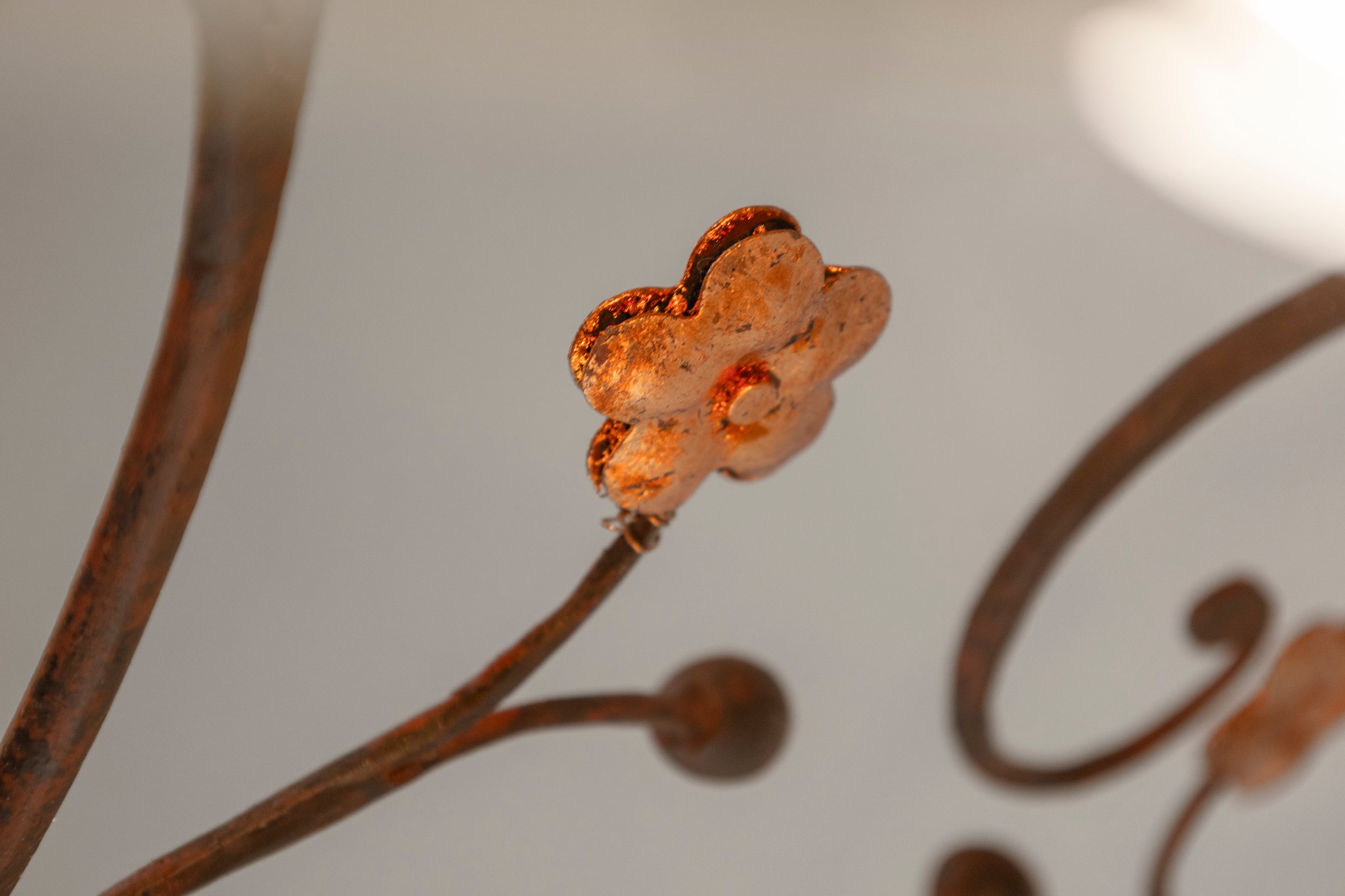  Photo 45