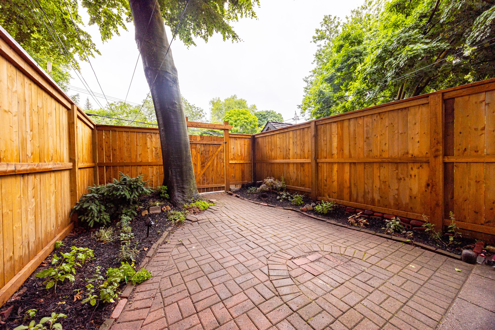 Toronto property showcase — delivered property photograph 36