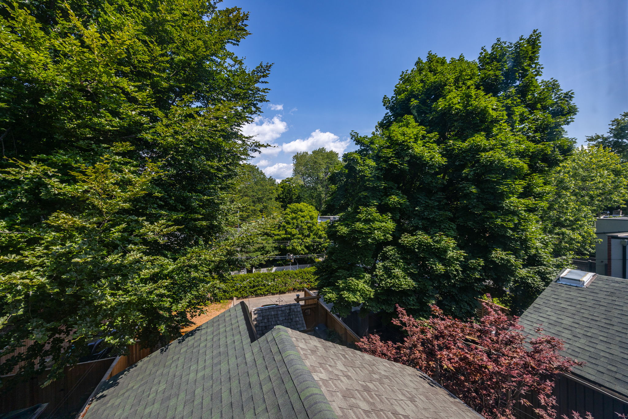 Toronto property showcase — delivered property photograph 76