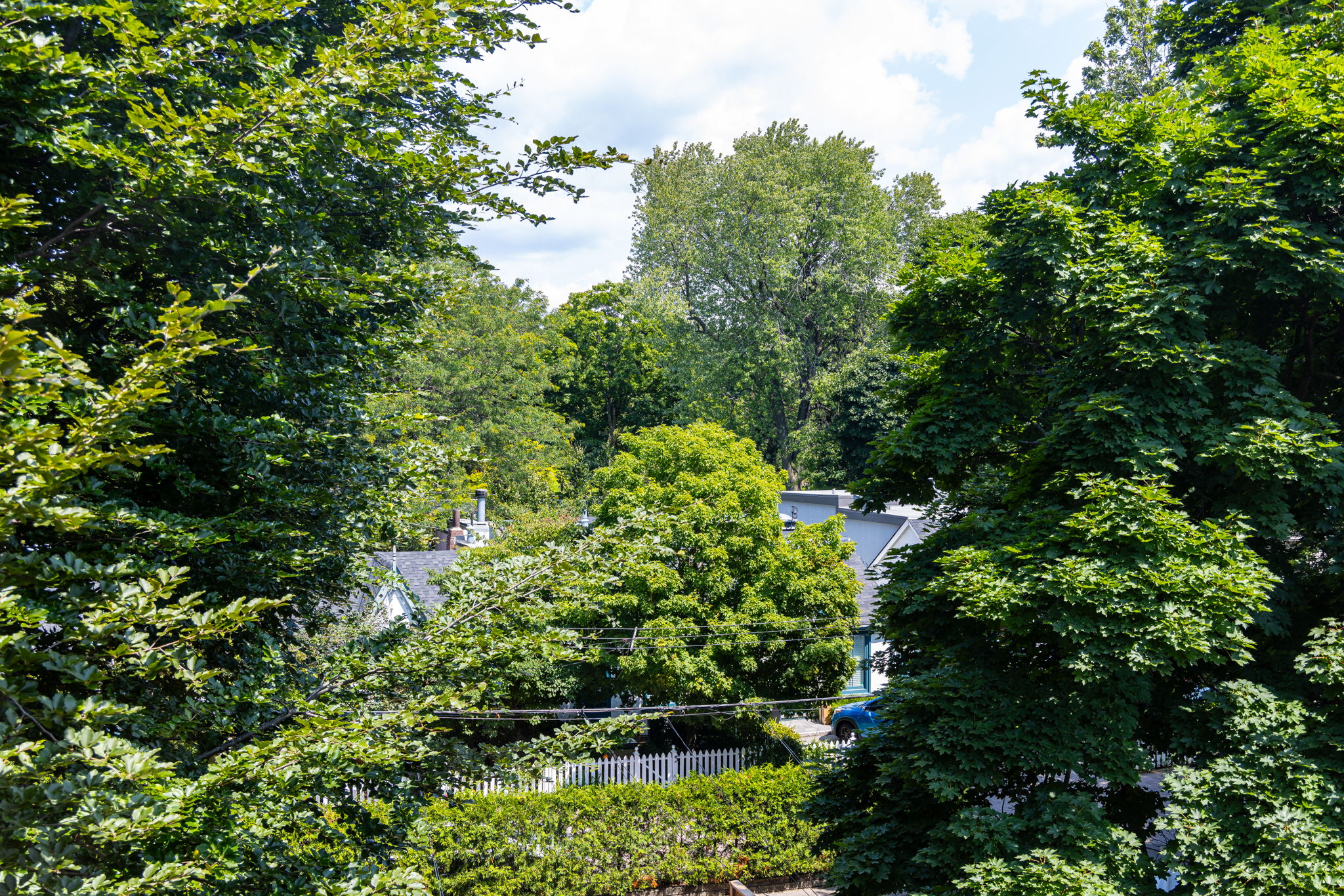 Toronto property showcase — delivered property photograph 77