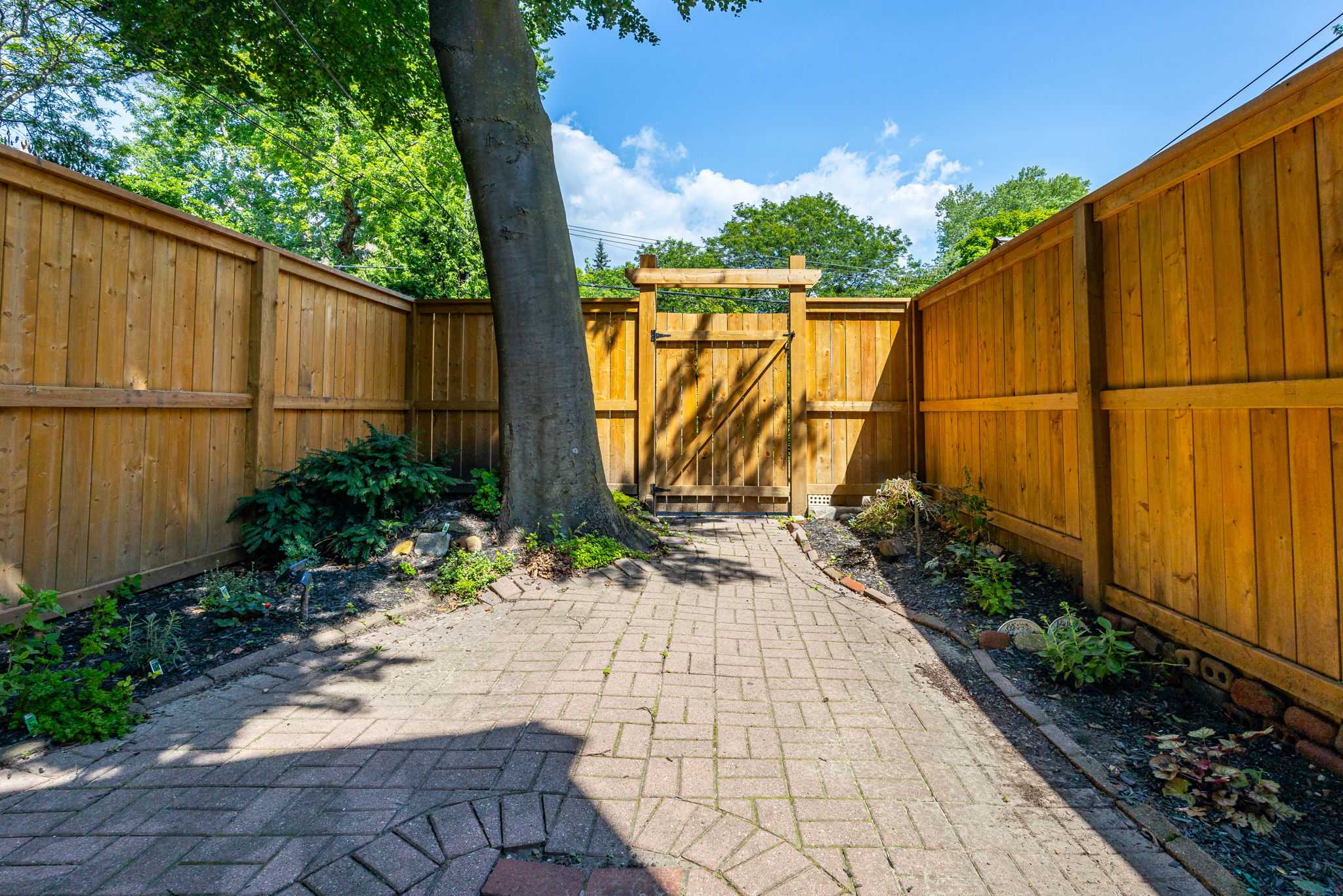 Toronto property showcase — delivered property photograph 78