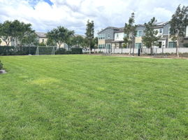 Photo 37