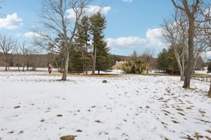 Lanark Rd-S2702-095.jpg