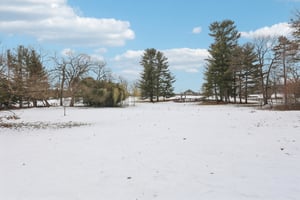 Lanark Rd-S2702-103.jpg