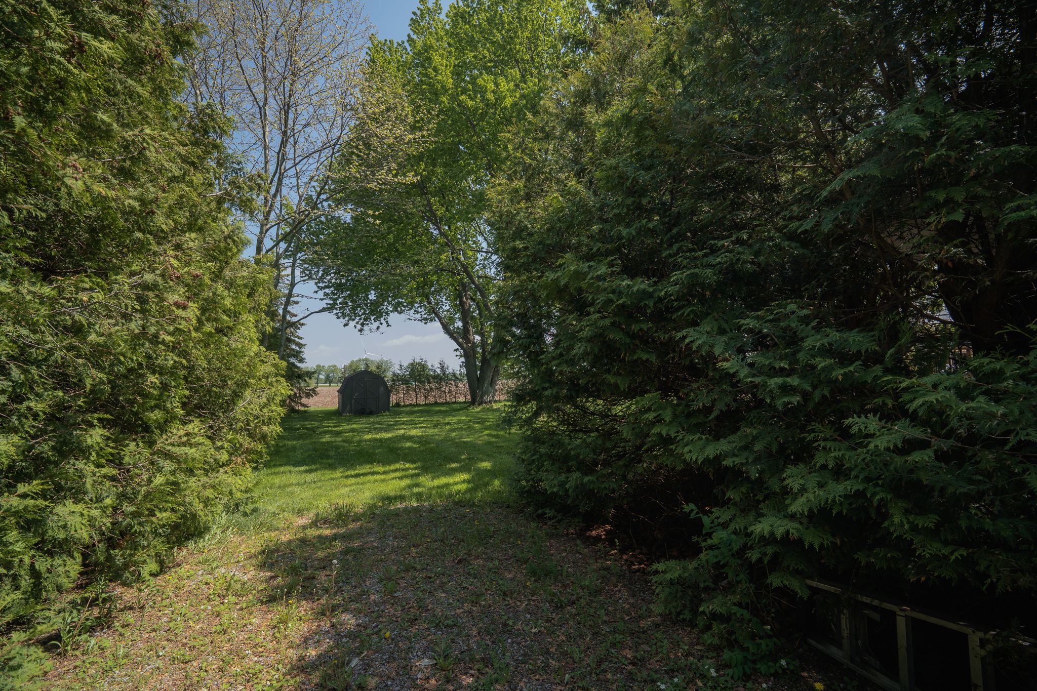  Photo 43