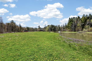  Photo 101