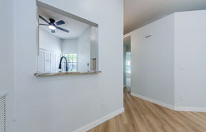 Kitchen Counter 1