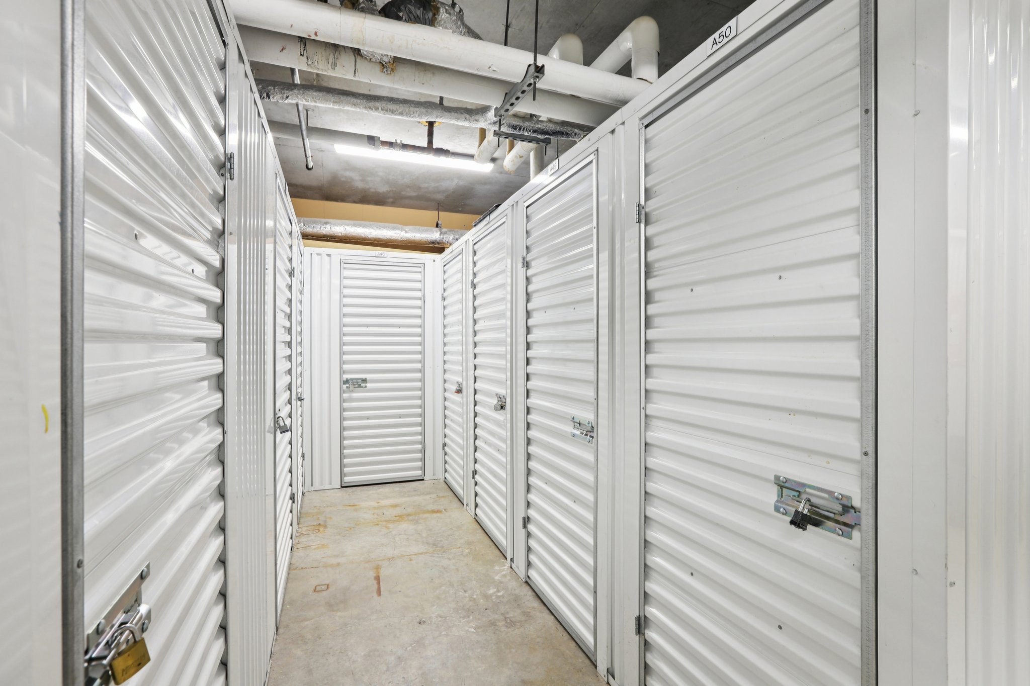 Bayshore Blvd-0212-915.jpg