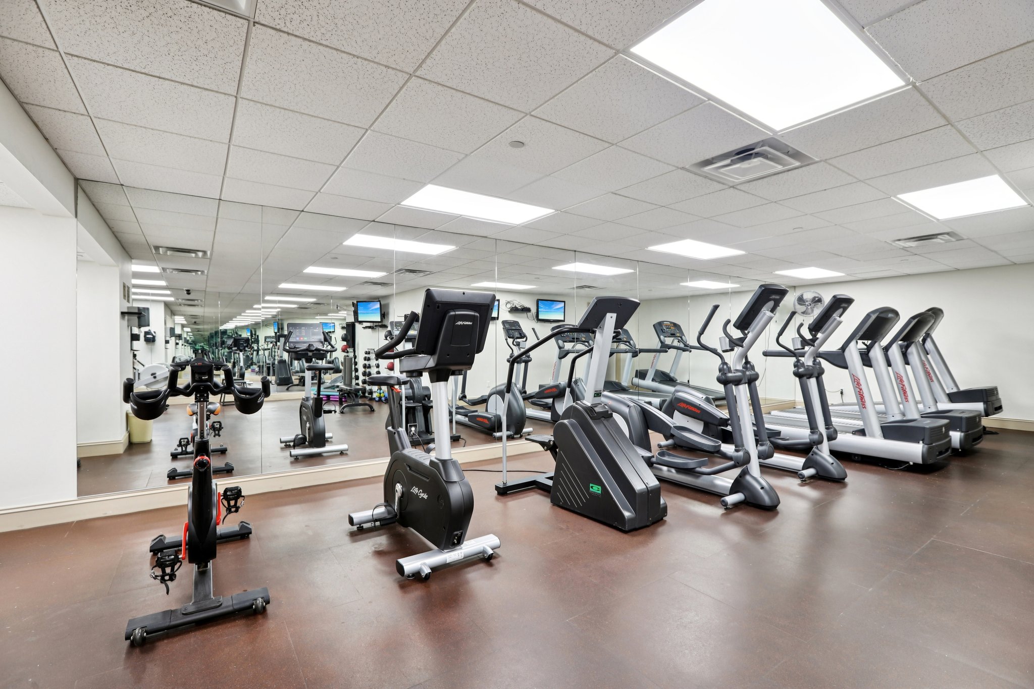 Bayshore Blvd-0212-917.jpg