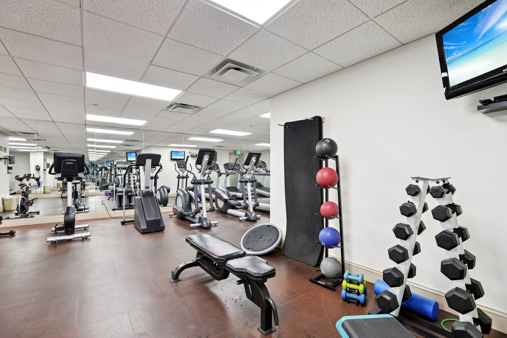 Bayshore Blvd-0212-919.jpg