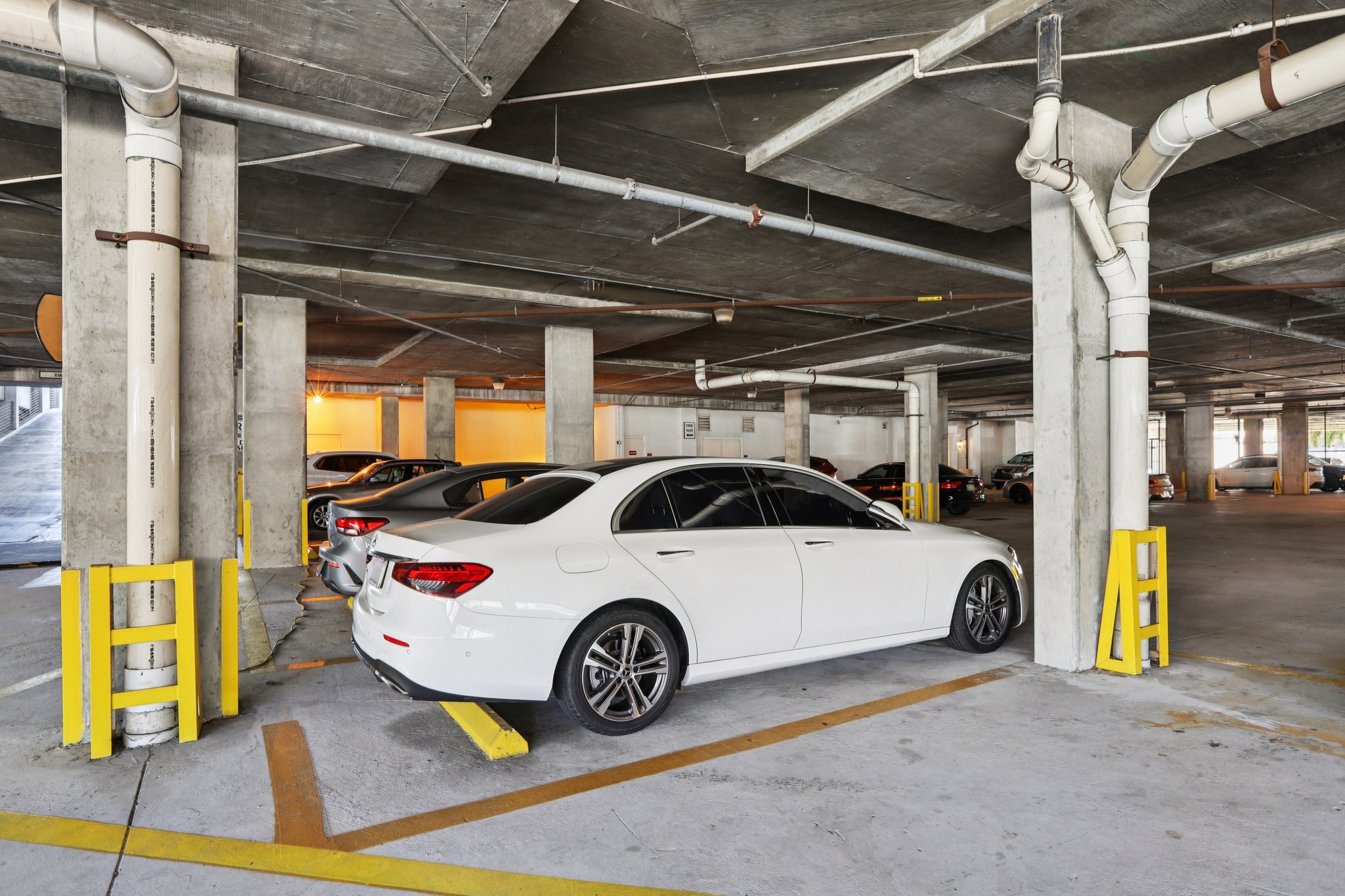 Bayshore Blvd-0212-921.jpg