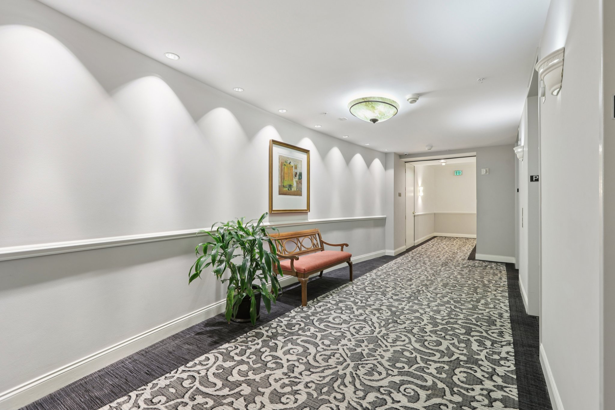 Bayshore Blvd-L0212-007.jpg