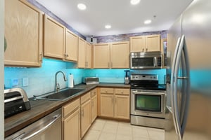 Bayshore Blvd-L0212-018.jpg