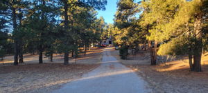  Photo 45
