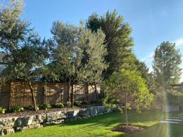  Photo 36