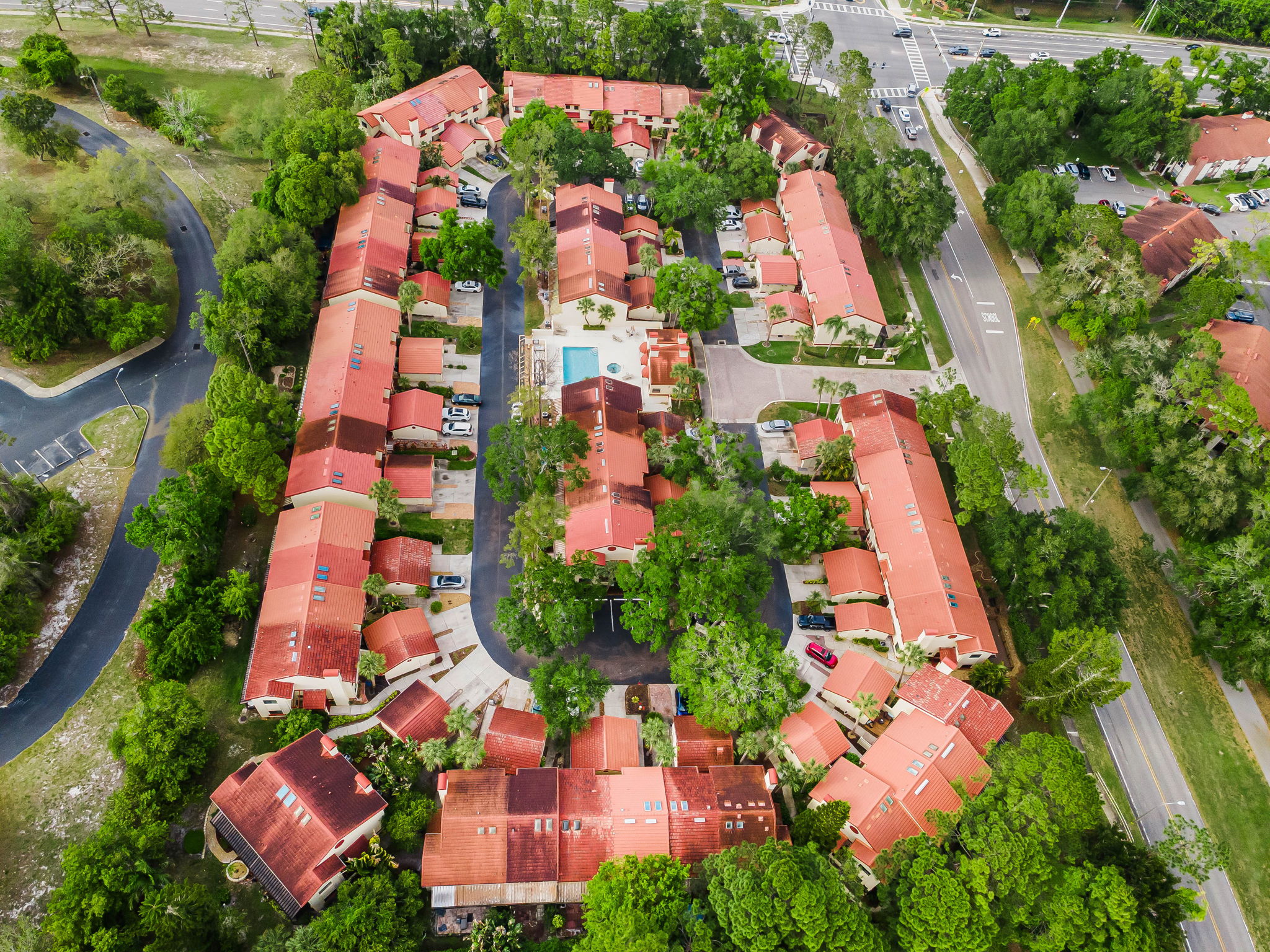 15-Countryside Woods